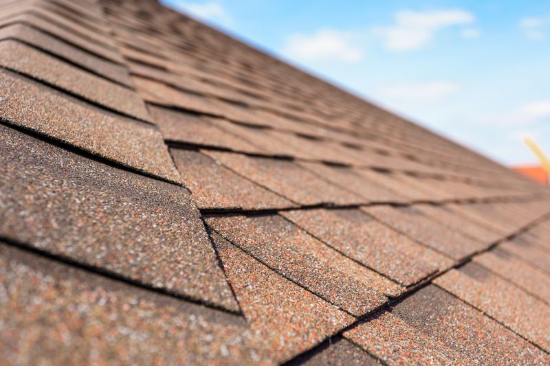 Shingles Replacements in Summer